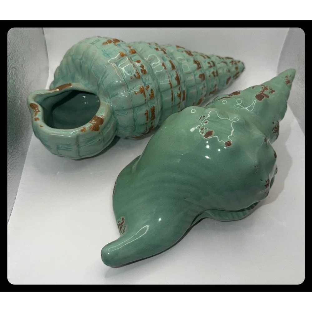 Unbranded conch shell